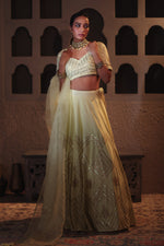 Nazakat Lemon Sequins Lehenga Set