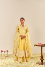 AMEENA - LONG ANARKALI WITH SKIRT AND DUPATTA