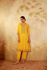 Nazakat Mango Mirror Work Suit