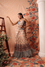 Pleated Draped saree with blouse