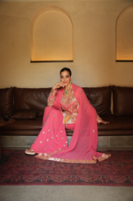 GAJRI PINK PARISAA GARARA