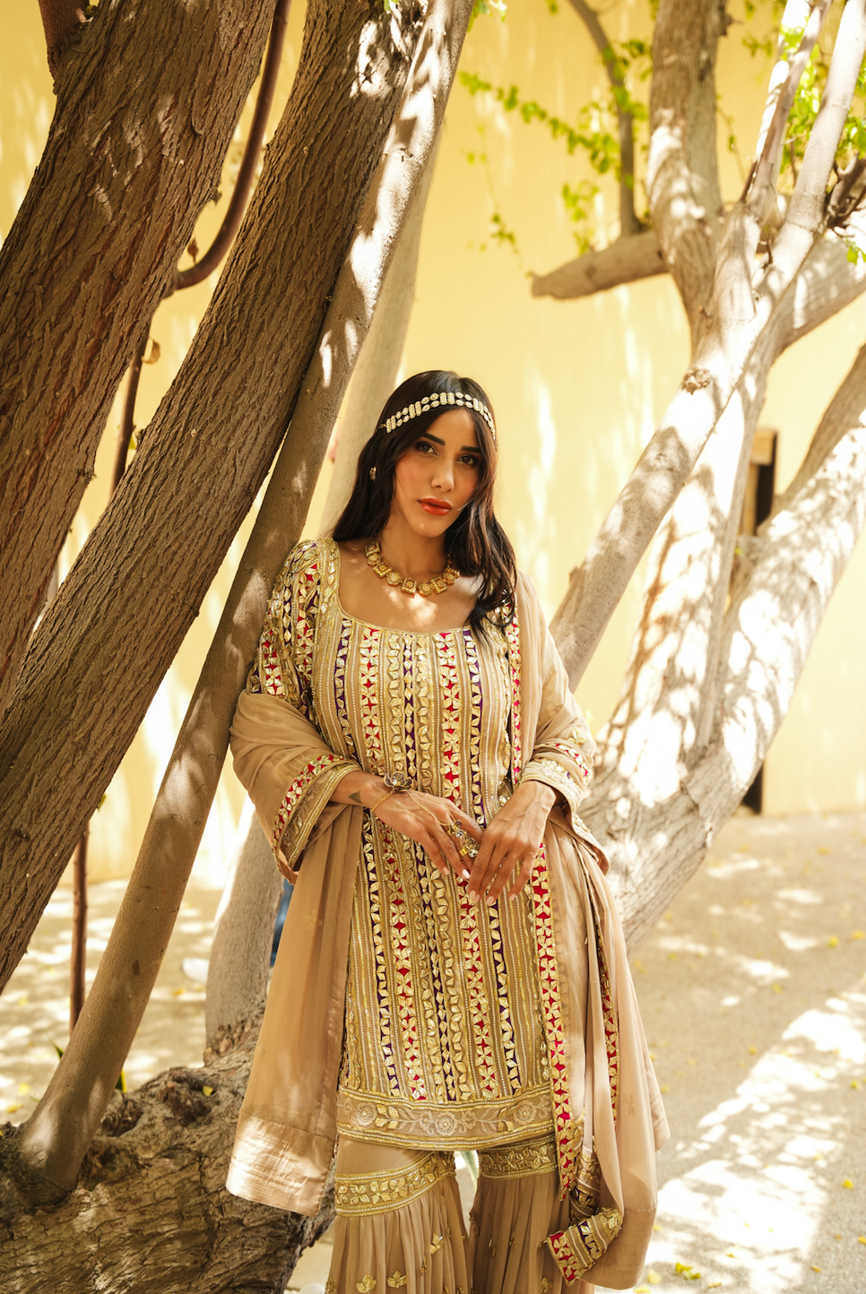 BEIGE PARISAA GARARA (PINK & PURPLE DETAILS)