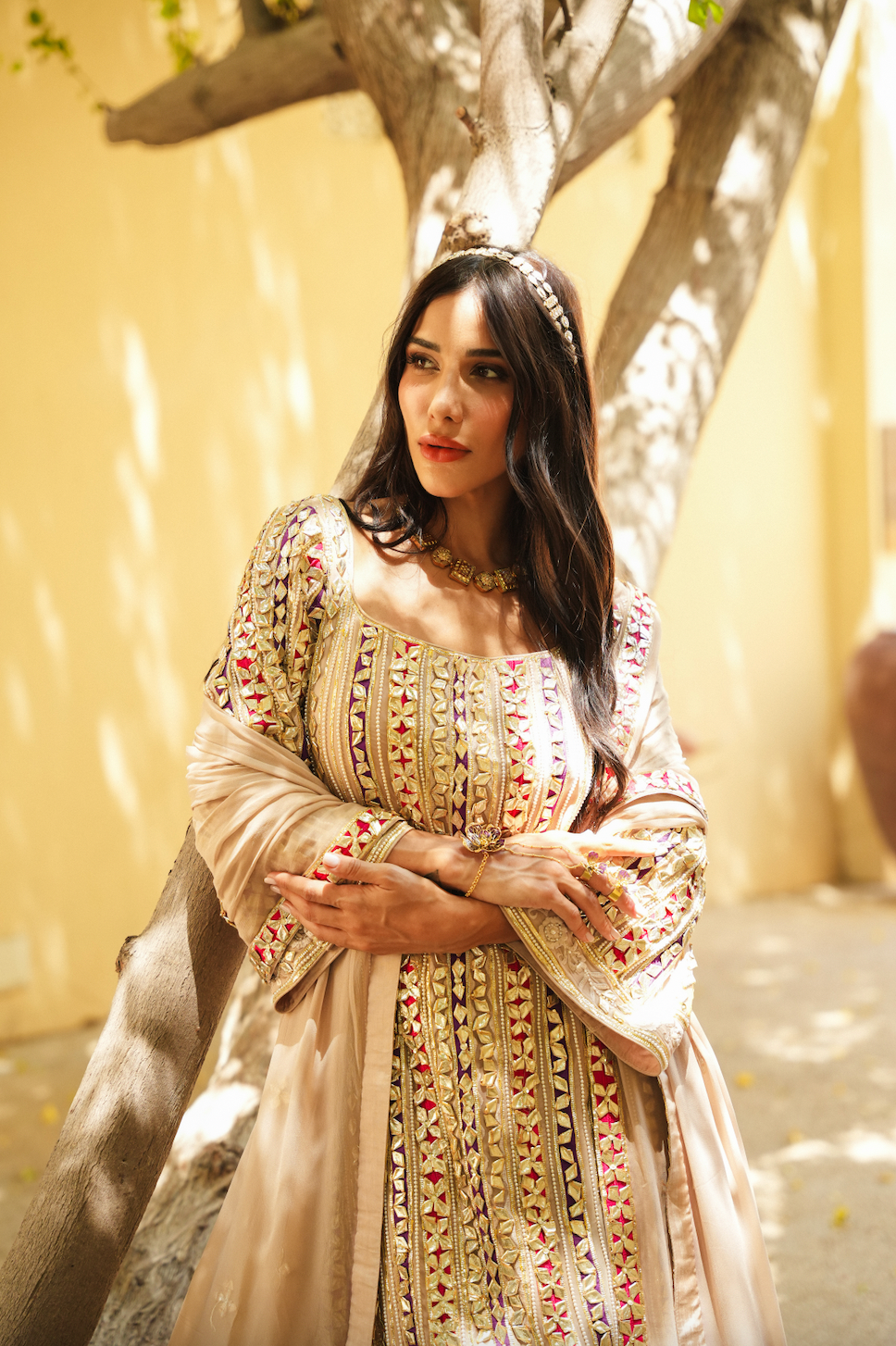 BEIGE PARISAA GARARA (PINK & PURPLE DETAILS)